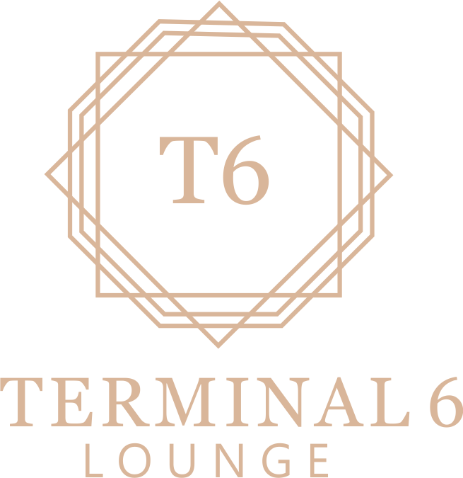 terminal6_logo